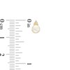 Thumbnail Image 3 of 5.0mm Freshwater Cultured Pearl and 1/20 CT. T.W. Diamond Stud Earrings in 10K Gold