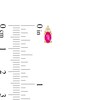 Thumbnail Image 3 of Oval Ruby and 1/20 CT. T.W. Diamond Stud Earrings in 10K Gold