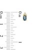 Thumbnail Image 3 of Oval Blue Sapphire and 1/20 CT. T.W. Diamond Stud Earrings in 10K Gold