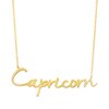 Thumbnail Image 1 of 1/10 CT. T.W. Diamond "Capricorn" Script Necklace in Sterling Silver with 14K Gold Plate