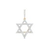 Thumbnail Image 1 of 3/4 CT. T.W. Diamond Star of David Necklace Charm in 10K Gold