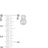 Thumbnail Image 3 of 1 CT. T.W. Certified Lab-Grown Diamond Frame Stacked Circle Drop Earrings in 14K White Gold (F/SI2)