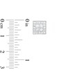 Thumbnail Image 3 of Men's 1 CT. T.W. Quad Square-Cut Diamond Frame Stud Earrings in 14K White Gold
