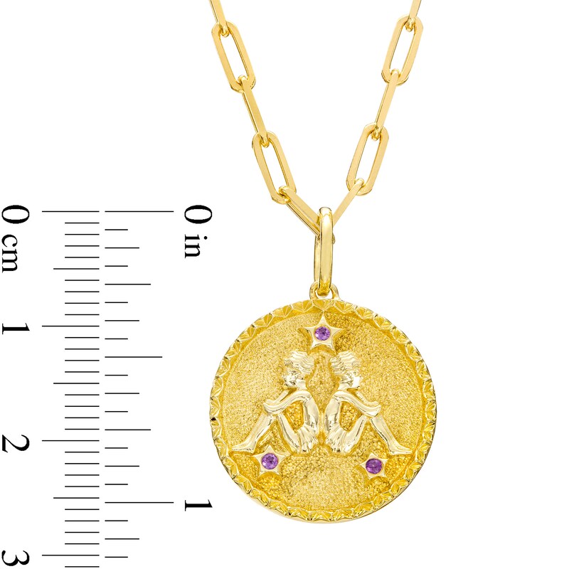 Main Image 3 of Amethyst Gemini Zodiac Symbol Textured Frame Medallion Pendant in Sterling Silver with 14K Gold Plate