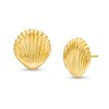 Sea Shell Stud Earrings In 10K Gold