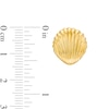 Thumbnail Image 3 of Sea Shell Stud Earrings in 10K Gold