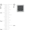 Thumbnail Image 3 of 1/3 CT. T.W. Black and White Diamond Square Frame Stud Earrings in 10K White Gold
