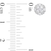Thumbnail Image 3 of 1/2 CT. T.W. Multi Certified Lab-Grown Diamond Stud Earrings in 14K White Gold (F/SI2)