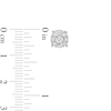 Thumbnail Image 3 of 1/2 CT. T.W. Certified Lab-Grown Multi-Diamond Stud Earrings in 14K White Gold (F/SI2)