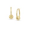 Thumbnail Image 1 of Hollow Ball Bead 22.0mm Hoop Earrings in 14K Gold