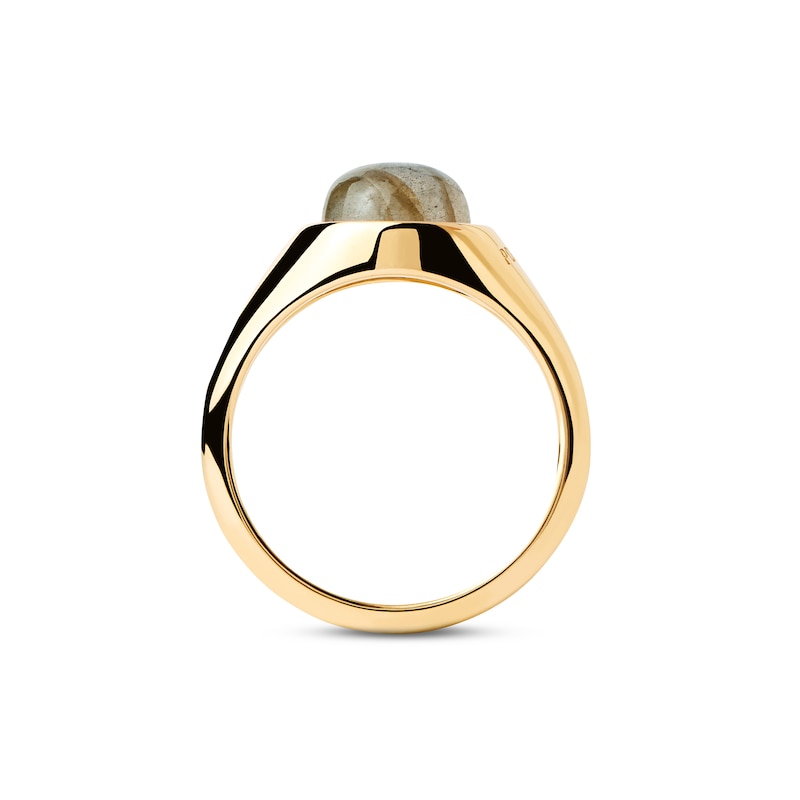 Main Image 4 of PDPAOLA™ at Zales ICONS 8.0mm Blue Labradorite Solitaire Ring in Sterling Silver with 18K Gold Plate