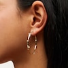 &nbsp;