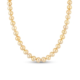 8.0-9.5mm Golden South Sea Cultured Pearl Strand Necklace in 14K Gold - 17.5”