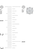Thumbnail Image 3 of 1/3 CT. T.W. Multi-Diamond Stud Earrings in 10K White Gold