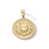 Thumbnail Image 1 of Lion Head Pattern Frame Medallion Necklace Charm in Solid 10K Gold