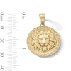 Thumbnail Image 3 of Lion Head Pattern Frame Medallion Necklace Charm in Solid 10K Gold