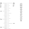 Thumbnail Image 4 of 2 CT. T.W. Lab-Grown Diamond Hoop Earrings in 10K White Gold (I/I1)