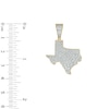 Thumbnail Image 2 of 1/2 CT. T.W. Diamond Texas Necklace Charm in 10K Gold