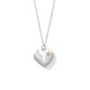 Thumbnail Image 1 of Diamond Accent Heart Locket in Sterling Silver and 10K Gold
