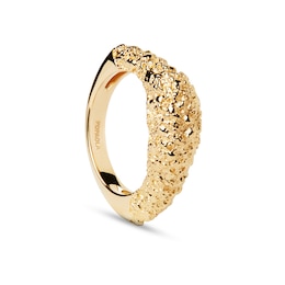 PDPAOLA™ at Zales SILHOUETTES Textured Ring in Solid Sterling Silver with 18K Gold Plate