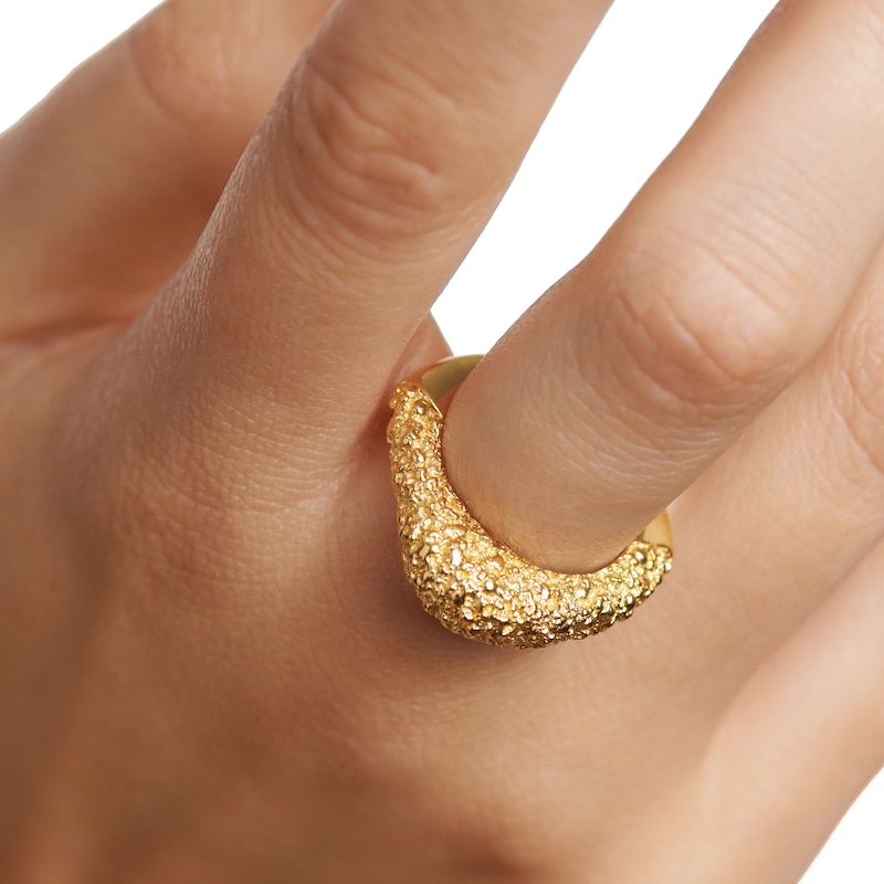 Main Image 3 of PDPAOLA™ at Zales SILHOUETTES Textured Ring in Solid Sterling Silver with 18K Gold Plate