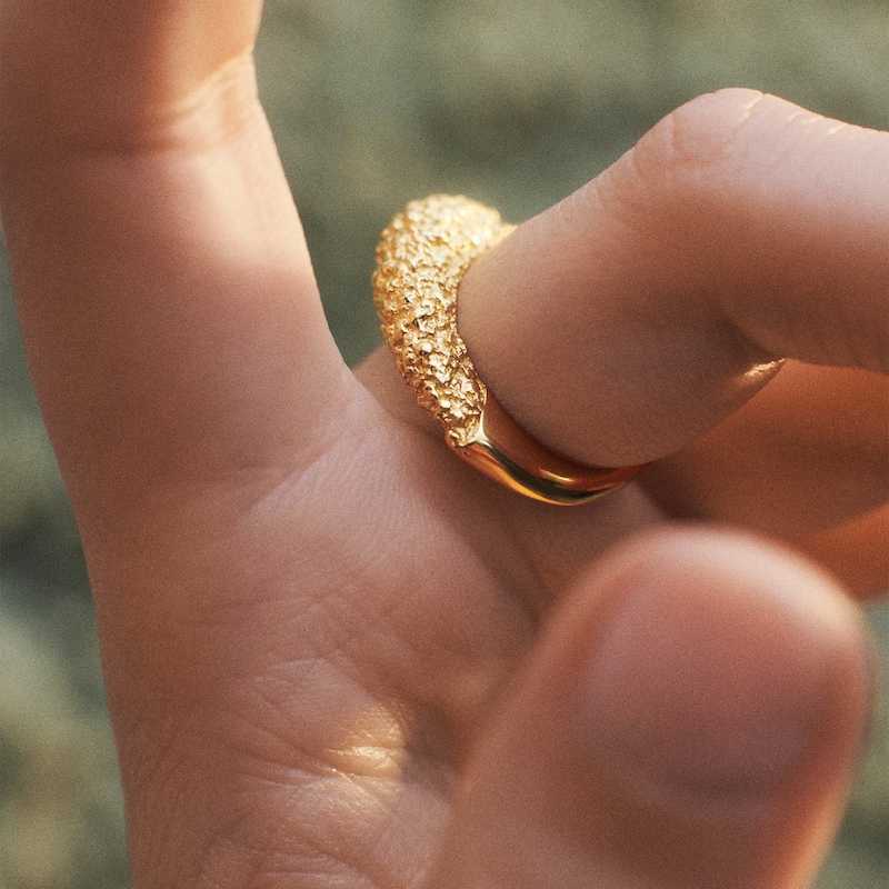 Main Image 5 of PDPAOLA™ at Zales SILHOUETTES Textured Ring in Solid Sterling Silver with 18K Gold Plate