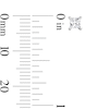 Thumbnail Image 3 of 1/3 CT. T.W. Princess-Cut Certified Lab-Grown Diamond Solitaire Stud Earrings in Sterling Silver (F/VS2)