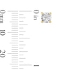 Thumbnail Image 3 of 1/4 CT. T.W. Diamond Miracle Solitaire Stud Earrings in Sterling Silver with 14K Gold Plate (J/I3)