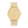 Thumbnail Image 1 of Ladies' Coach Gold-Tone IP Analog Watch with Gold-Tone Dial and Mesh Band (Model: 14504553)