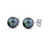 Thumbnail Image 1 of Previously Owned-7.0-7.5mm Dyed Black Akoya Cultured Pearl Stud Earrings in 14K White Gold