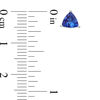 Thumbnail Image 2 of Previously Owned - 5.0mm Trillion-Cut Tanzanite Stud Earrings in 10K White Gold