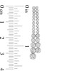 Thumbnail Image 1 of Previously Owned - 1 CT. T.W. Diamond Two Row Drop Earrings in 14K White Gold (I/I1)