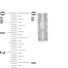 Thumbnail Image 3 of Previously Owned - 1/2 CT. T.W. Baguette and Round Diamond Three-Row Hoop Earrings in Sterling Silver
